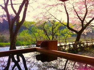 Photo_2